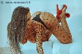 Foto Alessandra Fogaca Annunci Video Trans Benevento - 40