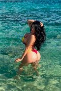 Foto Alessandra Xxii Annunci Video Trans Gallarate - 39