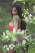 Foto Angell Annunci Video Trans Cinisello Balsamo - 1