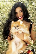 Foto Ariadna Annunci Video Trans Roma - 62