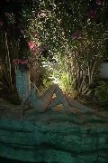 Foto Blondie Annunci Video Escort Civitanova Marche - 29