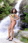 Foto Estrella Annunci Video Trans Torino - 83