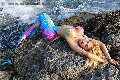 Foto Gaja Annunci Video Trans Ibiza - 18