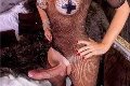 Foto Hot Ale Cavallona Annunci Video Trans Legnano - 8