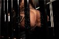 Foto Hot Bruna Xxl Annunci Video Trans Parma - 5