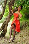 Foto Keylla Marques Pornostar Xxl Annunci Video Trans Fortaleza - 65