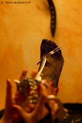 Foto Lady De Sade Italy Annunci Video Mistress Marina Di Carrara - 22
