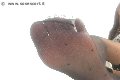 Foto Lady De Sade Italy Annunci Video Mistress Marina Di Carrara - 16