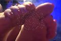 Foto Lady De Sade Italy Annunci Video Mistress Marina Di Carrara - 31