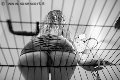 Foto Lady Giuliette Annunci Video Mistress Verona - 13