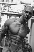 Foto Luca Ferrari Annunci Video Boys Verona - 15