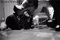 Foto Madame Jacqueline Domina Annunci Video Mistress Vicenza - 43