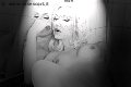 Foto Mary Ts Annunci Video Trans Francoforte - 25