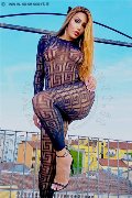 Foto Nicolly Hilton Annunci Video Trans Somma Lombardo - 14