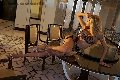 Foto Rebecca Ferraz Pornostar Annunci Video Trans Roma - 14