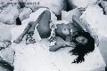 Foto Sabrina Hemolly Annunci Video Trans Milano - 83