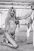 Foto Sabry Annunci Video Transescort Recife - 77