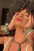 Foto Serena Annunci Video Trans Bologna - 1