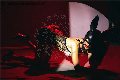 Foto Vanessa Hilton Annunci Video Trans Modena - 130
