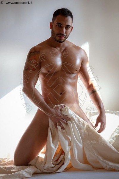 Foto Harry Dotato  Annunci Video Boy 3932513795