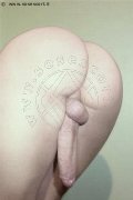 Foto Hot Vanessa Dior Annunci Video Trav Noventa Di Piave - 2