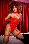 Foto Stella Annunci Video Trans Milano - 16