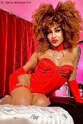 Foto Stella Annunci Video Trans Milano - 17