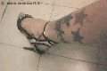 Foto Suzana Pantera Annunci Video Trans Foggia - 52