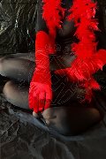 Foto Tiny Mouse Annunci Video Escort Venezia - 4