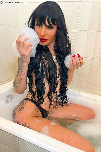 Foto Heron Annunci Video Trans 3933783206